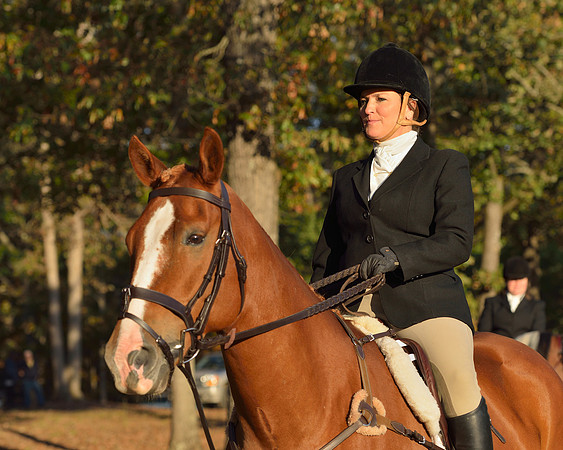 Shakerag opening Hunt 2015