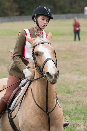 Bowles_JNAFHC_11-12-2017_263826