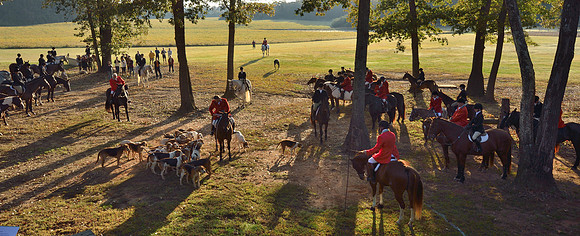 Shakerag opening Hunt 2015