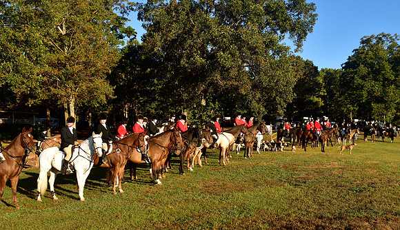 Shakerag Opening Hunt 2014