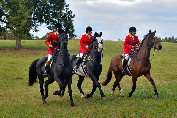 Belle Meade Opening Hunt 2014