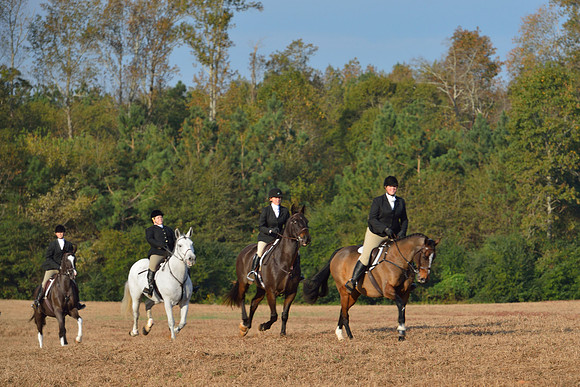 Shakerag opening Hunt 2015