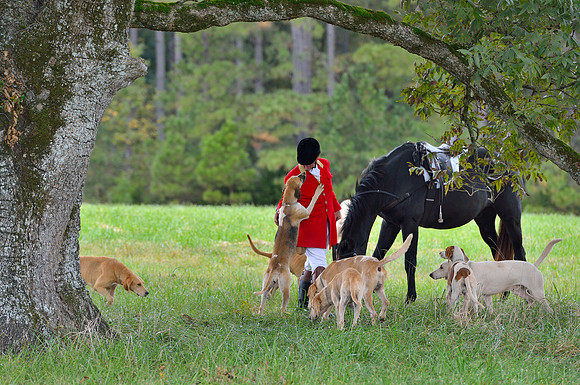 Belle Meade Opening Hunt 2014