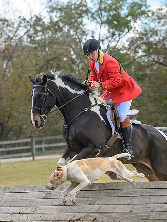 Belle Meade_20241102_420472