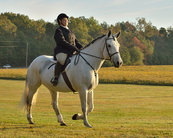Shakerag opening Hunt 2015