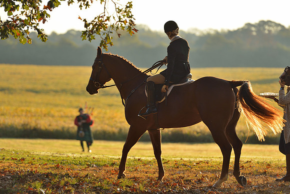 Shakerag opening Hunt 2015