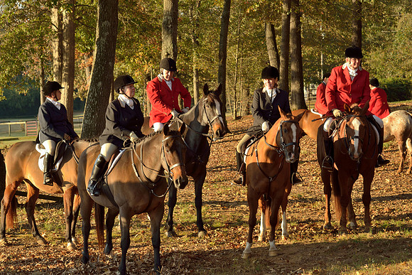 Shakerag opening Hunt 2015