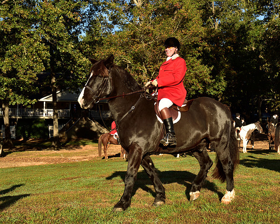 Shakerag Opening Hunt 2014