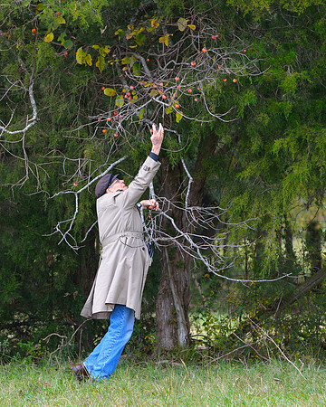 Belle Meade Opening Hunt 2014