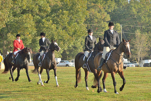 Shakerag opening Hunt 2015