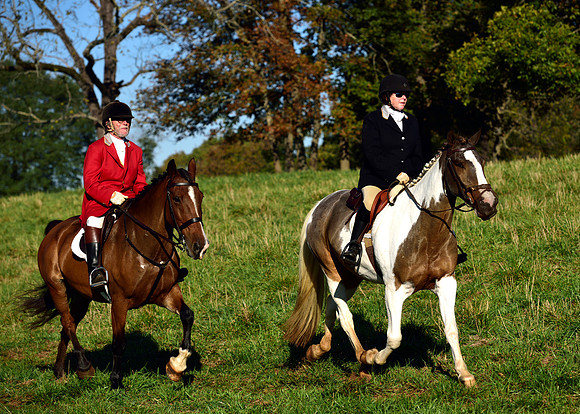 Shakerag Opening Hunt 2014
