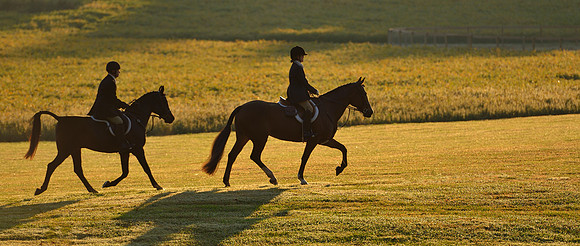 Shakerag opening Hunt 2015