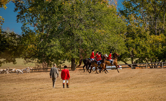 Belle Meade_228158_11-5-2016
