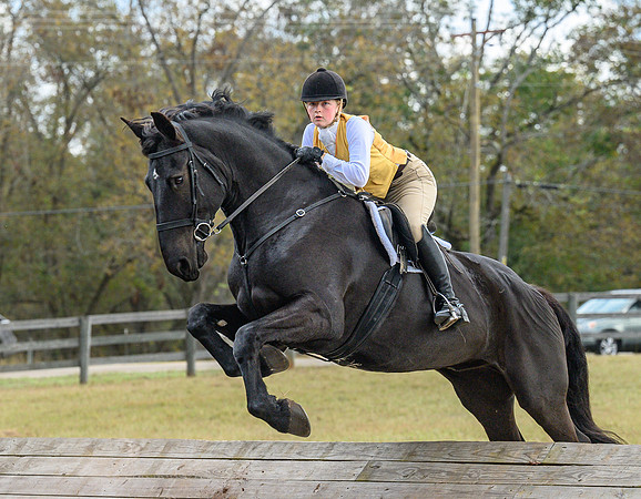 Belle Meade_20241102_421919