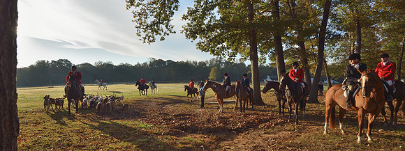 Shakerag opening Hunt 2015