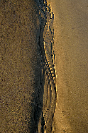 Jekyll Island - Driftwood Beach Patterns
