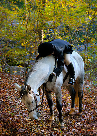 Belle Meade Opening Hunt 2014