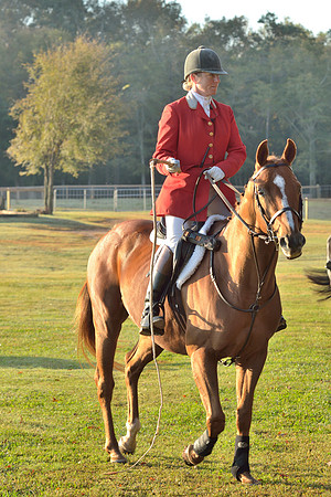 Shakerag opening Hunt 2015