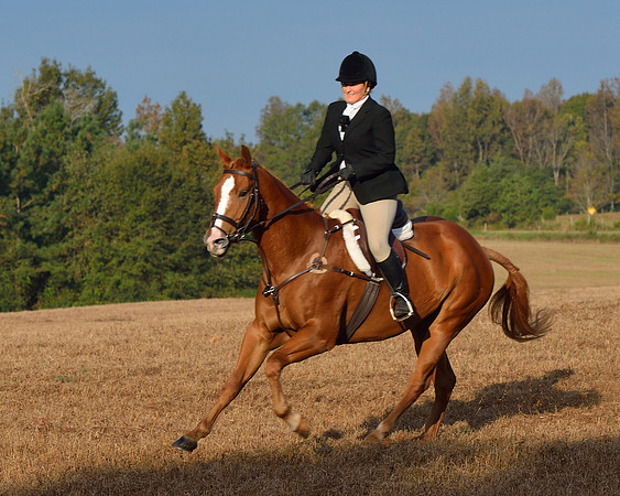 Shakerag opening Hunt 2015