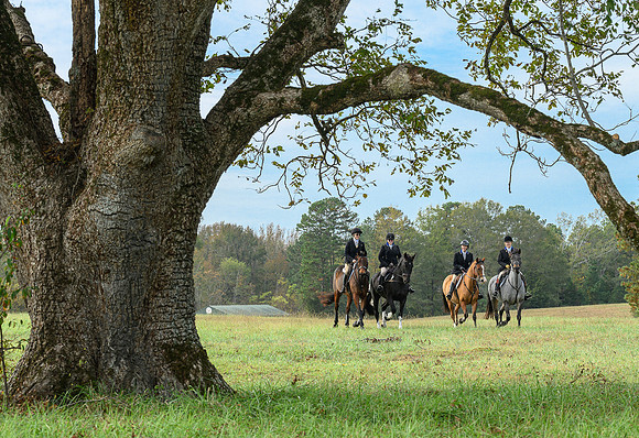 Belle Meade_20241102_420389