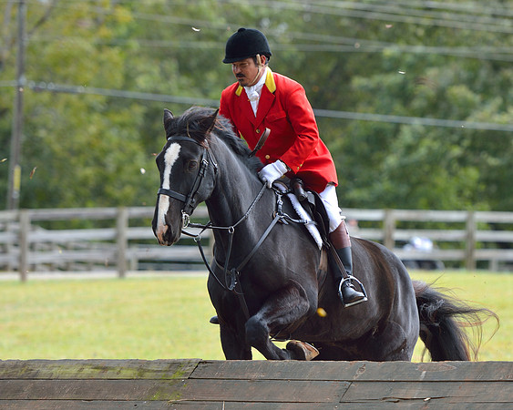 Belle Meade Opening Hunt 2014