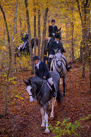 Belle Meade Fox Hunt - Opening Meet 2013