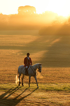 Shakerag Opening Hunt 2014
