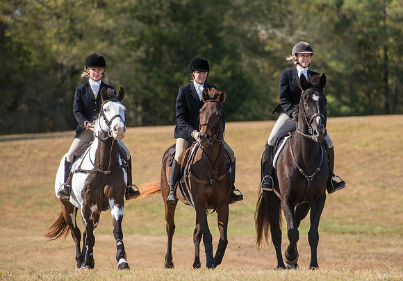Belle Meade_228023_11-5-2016