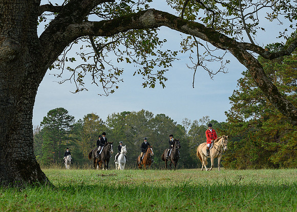 Belle Meade_20241102_420378