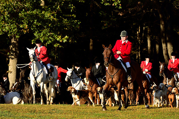 Shakerag Opening Hunt 2014