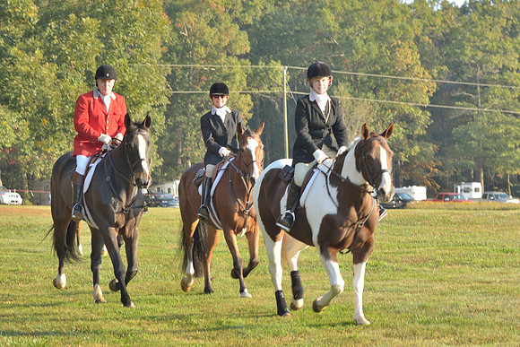 Shakerag opening Hunt 2015