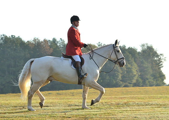 Shakerag opening Hunt 2015