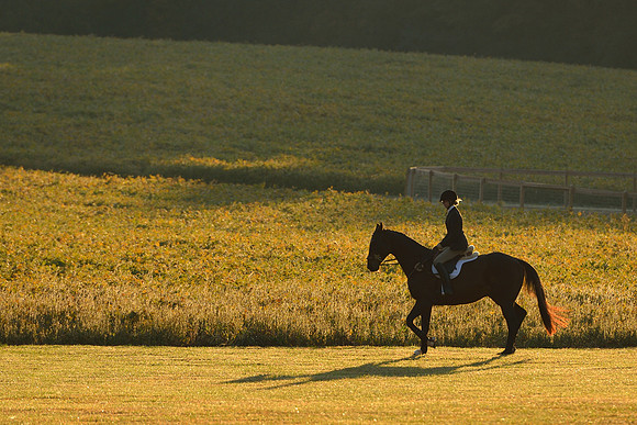 Shakerag opening Hunt 2015