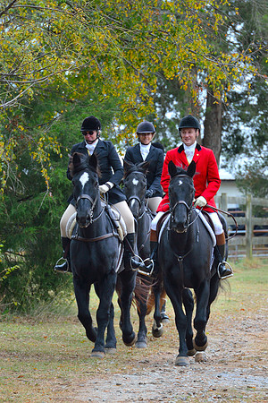 Belle Meade Opening Hunt 2014