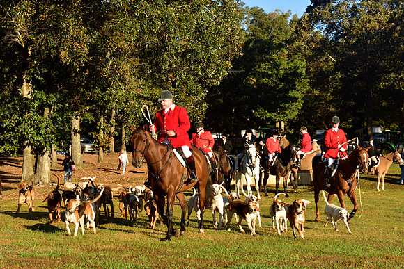 Shakerag Opening Hunt 2014