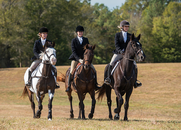 Belle Meade_228024_11-5-2016