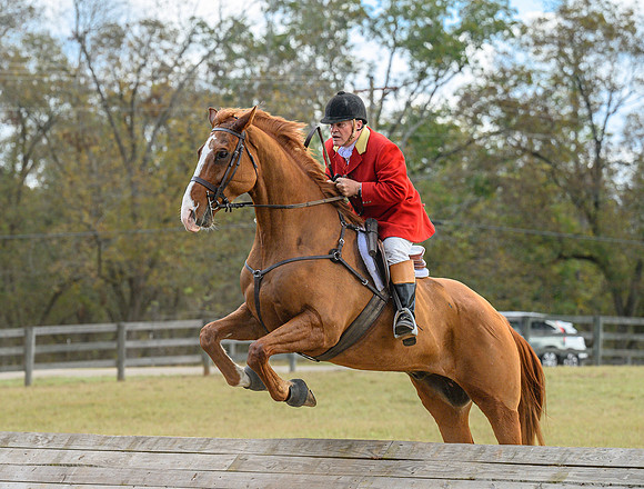 Belle Meade_20241102_420481