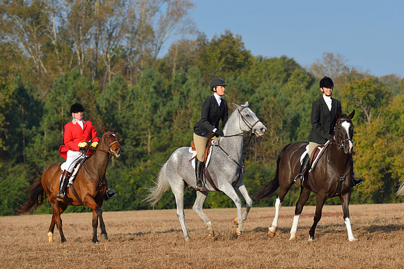 Shakerag opening Hunt 2015