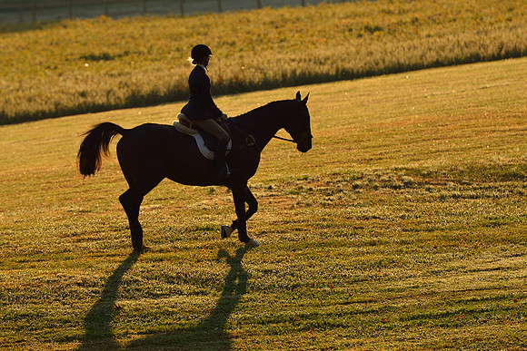 Shakerag opening Hunt 2015