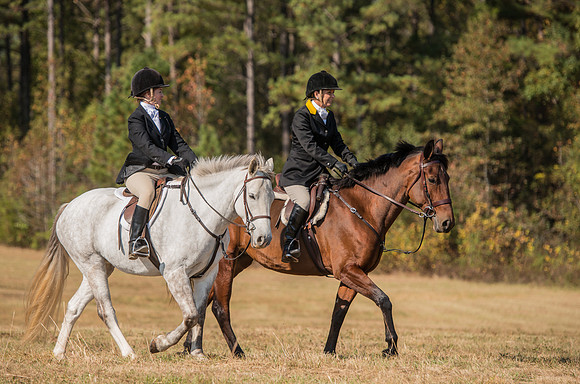 Belle Meade_227977_11-5-2016