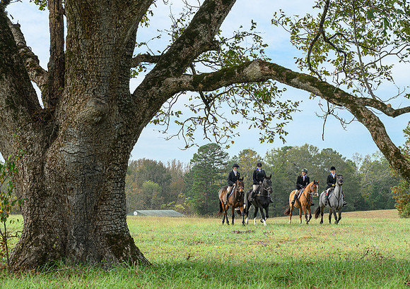 Belle Meade_20241102_420390