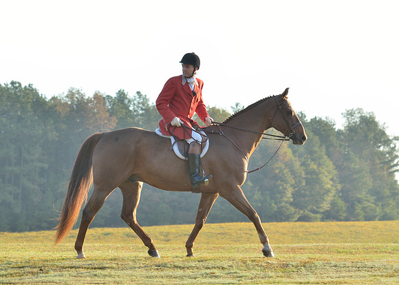 Shakerag opening Hunt 2015