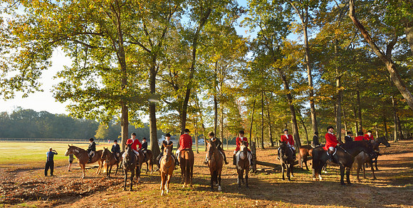 Shakerag opening Hunt 2015