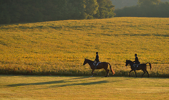 Shakerag opening Hunt 2015