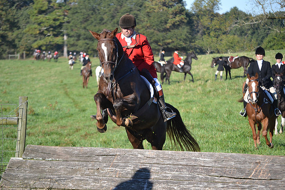 Shakerag Opening Hunt 2014