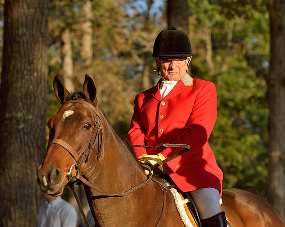 Shakerag opening Hunt 2015