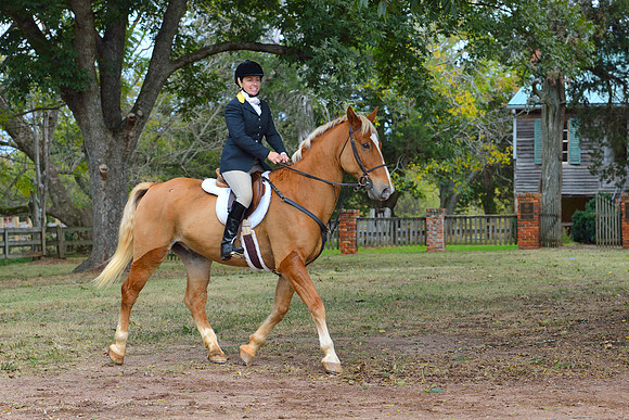 Belle Meade Opening Hunt 2014