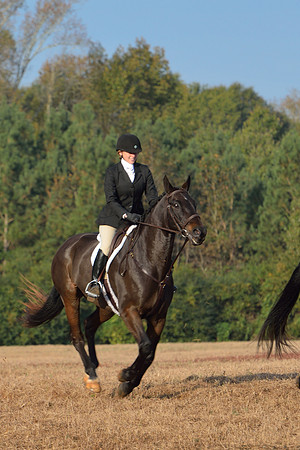 Shakerag opening Hunt 2015