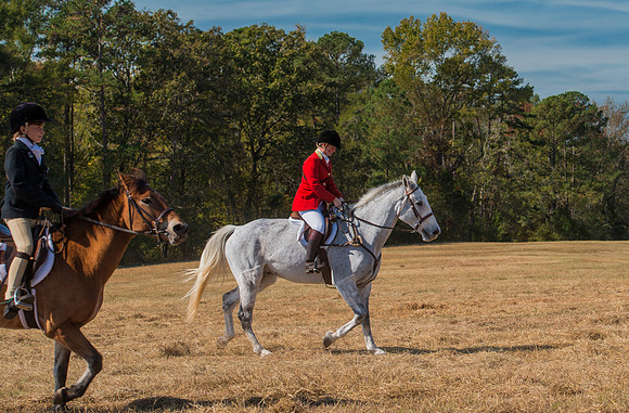 Belle Meade_228116_11-5-2016