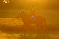 Shakerag opening Hunt 2015